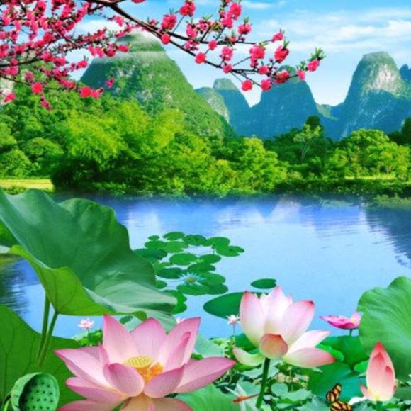 annienguyen4923